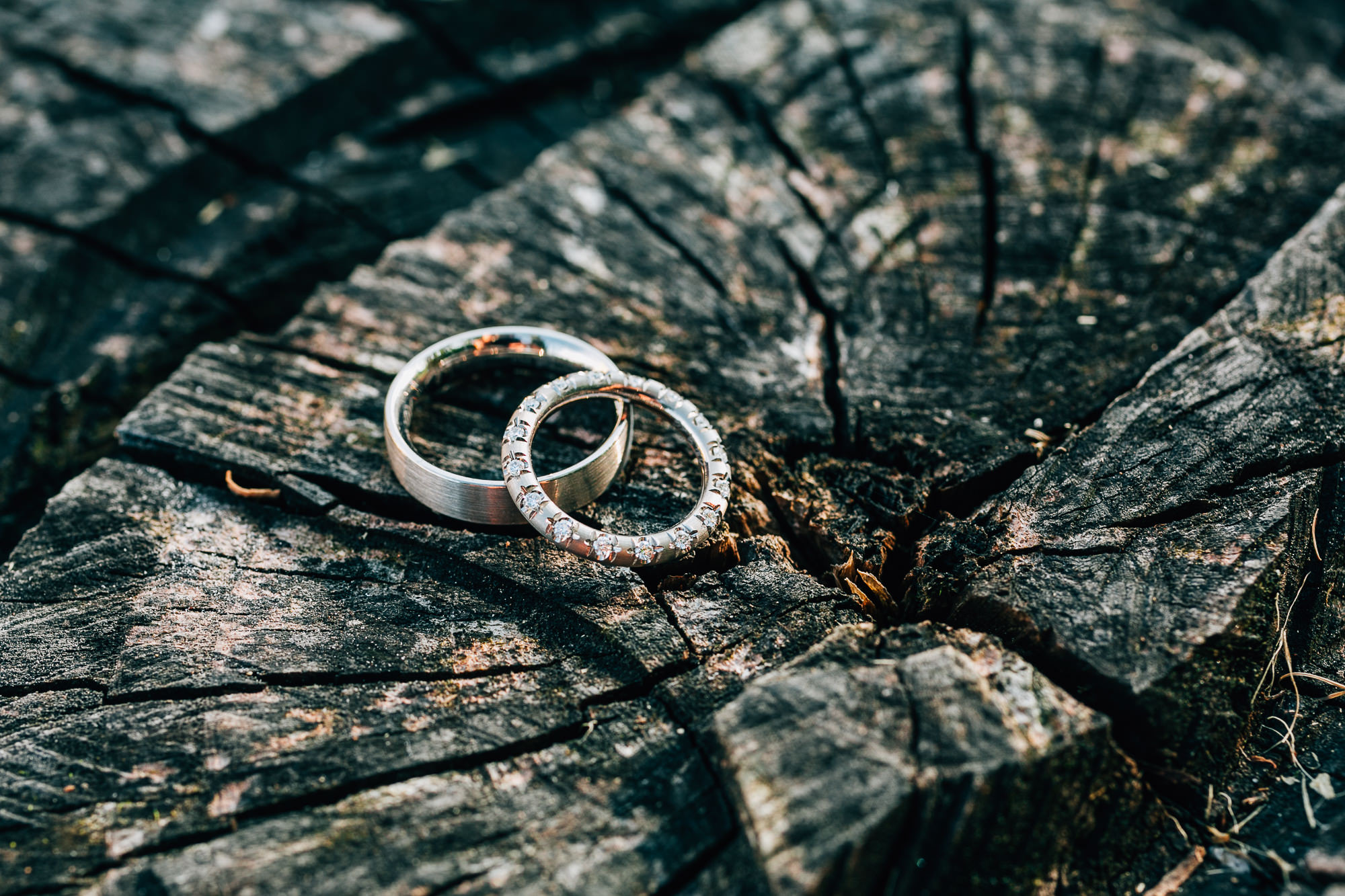 Export x3 053 HE 631 Beispiele Eva 2016